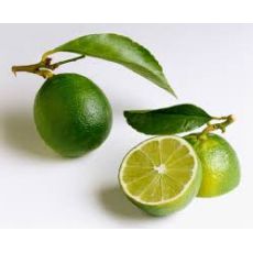 Misket Limonu Fidanı Yeşil Limon Mexican Lime 50-70
