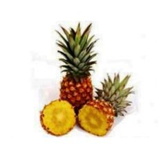 Ananas Fidanı İthal Meyveli 20-30 Cm