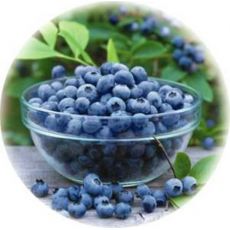 Yaban Mersini Fidanı Eliot Likapa  Blueberry 100 Cm