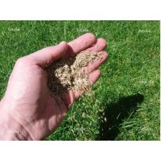Çim Tohumu Bahçe Çimi Tohumu İthal 6 Karışımlı 5 Kg Fiyatımızdır