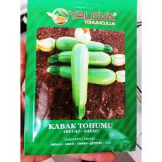 Kabak Tohumu Beyaz Sakız Çeşidi Pakette Sertifikalıdır