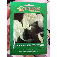 Kara Lahana Tohumu Pakette Sertifikalıdır