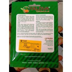 Kavun Tohumu Ananas Çeşidi Pakette Sertifikalıdır