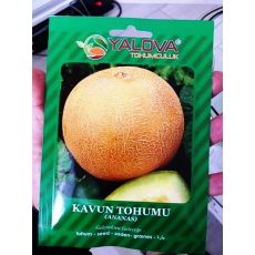 Kavun Tohumu Ananas Çeşidi Pakette 10 Gram Sertifikalıdır