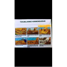 Turp Siyah Tohumu Pakette Sertifikalıdır