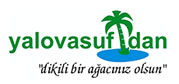 yalovasufidan.com